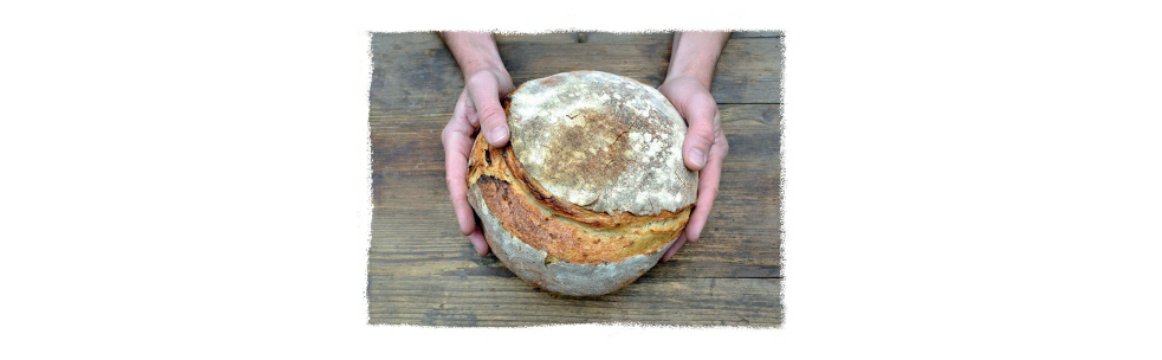 Poctivý chléb kváskový - návod